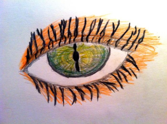 Eye of the Tiger by Meg Brogdale